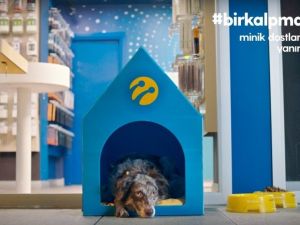 Turkcell’in 1400 mağazası minik dostlara kapılarını açıyor