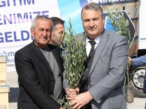 Yunusemre’de fidan dağıtımları tamamlandı