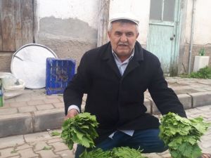 Yaprağı meyvesinden pahalı
