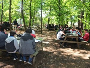 Sığla ağaçları altında kitap okudular