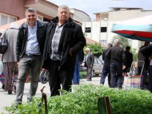 Sebze fidanına akın
