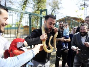 Alişan’ın yılanla imtihanı