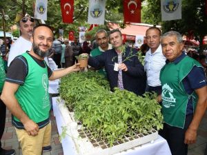 Başkan Akın’dan yerli tohuma tam destek