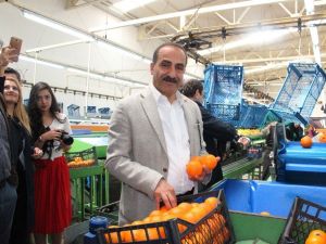 Tarım OSB’ler, Ege tarım ürünleri ihracatını 1 milyar dolar artıracak