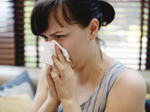 Yaz gribinin tam mevsimi