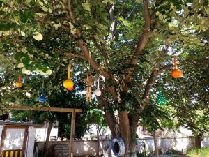 Minikler çalışmalarını ağaç dallarında sergiledi