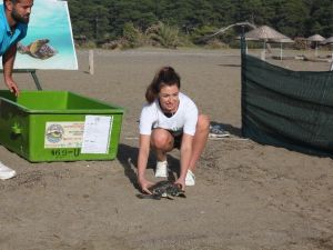 İngiltere güzellik kraliçesi kaplumbağayı denize bıraktı