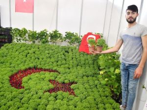 Manisalılar Çiçek Festivaline büyük ilgi gösterdi