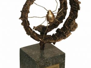 Altın Örümcek Ödülleri’nde son başvuru süresi 21 Haziran