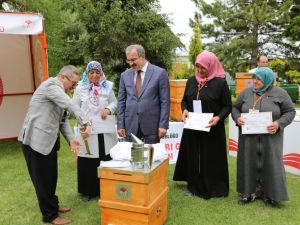 Kütahya’da arıcılığa 1 milyon 470 bin TL hibe