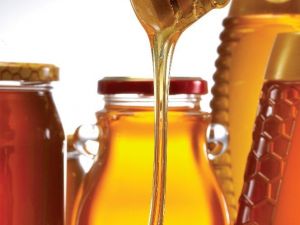 Zeytinyağı teşvik sistemi çam balı için model alınabilir