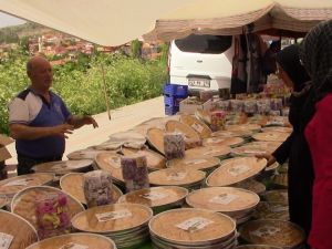 Yerli ürün pazara indi fiyatlar düştü