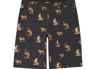 Babalar Günü için hediye önerileri