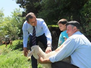 Protokol üyeleri yaylacıları ziyaret etti