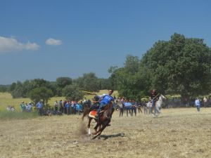 Selendili Yörükler ovacık yaylasında buluştu