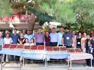 Ara verilen Kiraz Festivali 4 yıl sonra yeniden kutlandı