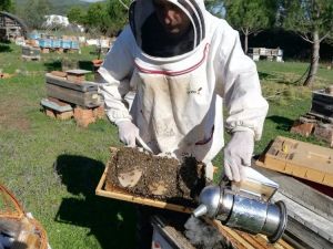 Marmaris Tarım ve Orman Müdürlüğünden sahte bak açıklaması