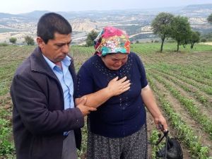 Selendi’de etkili olan dolu yağışı tarım arazilerini vurdu