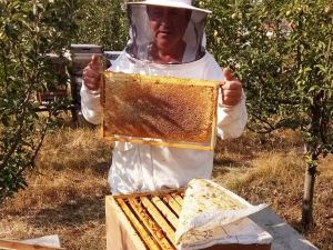 Hisarcıklı arıcıların yüksek bal üretimi beklentisi