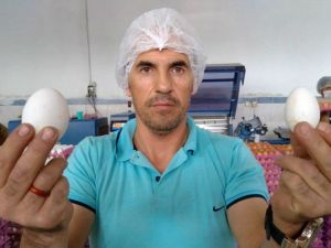 Yumurta üreticilerinin gözü Irak pazarında