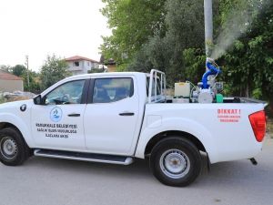 Pamukkale’de ilaçlama çalışmaları sürüyor