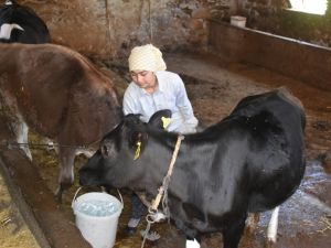 Aydınlı Çilem’in şampiyonluğa giden öyküsü