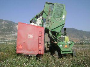 Söke Ovası bereket saçıyor