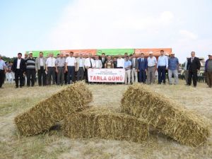 Aslanapa’da Macar Fiği Tarla Günü etkinliği