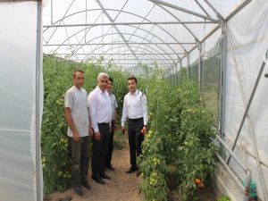 Kaymakam Okatan, jeotermal serada incelemelerde bulundu