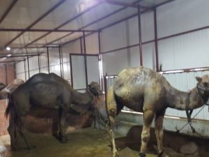 Bu insanların ne yaptığını öğrenince şaşıracaksınız