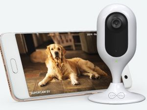 Ev ve iş yerleri anlık cepten izlenecek