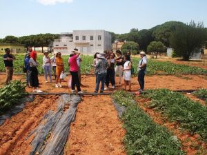 Muğla’nın ‘Gen Bankası’ projesi start aldı