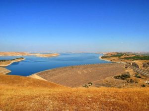 GAP barajlarından ekonomiye dev katkı