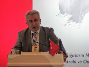 Türkiye’ye güneydeki ülkelerden giriş yapan hastalıkla mücadele sürüyor