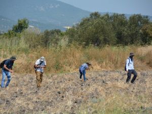 Myrina ve Gryneion’da yüzey araştırmaları başlıyor