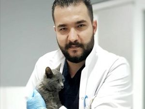 Aydın Veteriner Hekimleri Odasından ‘mobil kısırlaştırma’ uyarısı