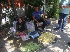 Beyaz fasulyenin kilosu 10 TL