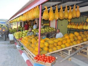 Kırkağaç kavunu, AB’den coğrafi işaret almaya hazırlanıyor