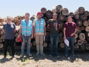 DPÜ AFAMER’in Orman Üretim İşçisi sınavları başladı