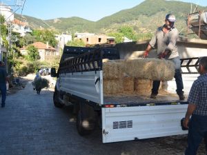 Saman fiyatları el yakıyor