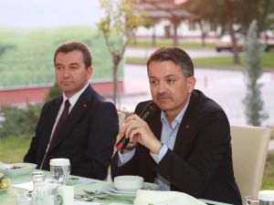 Çam fıstığının rekolte düşüklüğü Bakan Pakdemirli’nin masasında