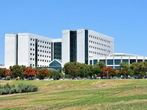 İltihaplı eklem romatizması: Romatoid artrit