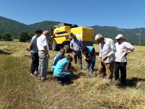 Simavlı çiftçilere ‘biçerdöver’ uyarısı