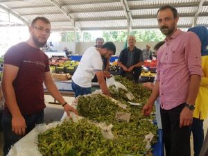 Yeni ürün yaş fındık tezgaha indi