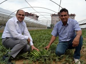 Türkiye’deki mahkumların ağzını ’Cihan’ tatlandırıyor