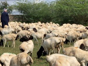 İDDEF’ten ‘bayrama hazırız’ mesajı