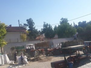 Buldan’da kekik üreticisinin yüzünü güldürdü