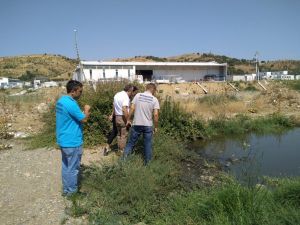 Turgutlu ve Salihli’de haşereyle mücadele devam ediyor