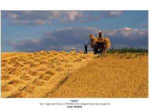 TARSİM’den ‘Hasat Bayramı’ mesajı