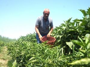 Emekli oldu self servis bahçe işine girdi